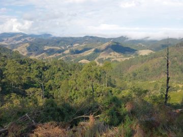 Chácara - Venda - Rural - São Luiz do Paraitinga - SP