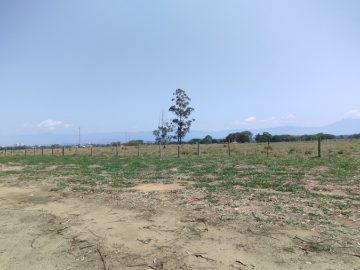 Área - Venda - Novo Horizonte - Lorena - SP