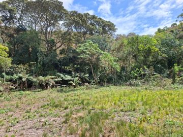 Terreno - Venda - Rural - Marmelpolis - MG