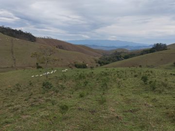 Fazenda - Venda - Engenheiro Passos - Resende - RJ