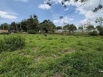 Chácara - Venda - Campinho - Lorena - SP