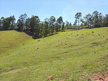 Stio de 9 alqueires  Venda em So Luiz do Paraitinga-SP