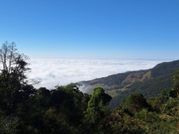 Chácara - Venda - Gomeral - Guaratinguetá - SP