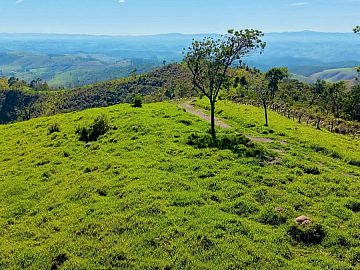 S�tio - Venda - Cordeiro - Guaratinguet� - SP
