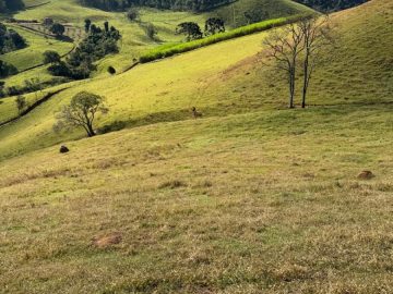 Terreno - Venda - Rural - Cristina - MG