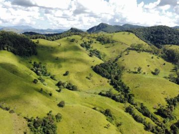 Fazenda - Venda - Rural - Cristina - MG