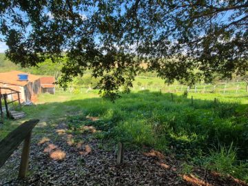Terreno - Venda - Loteamento Chcaras Patury - Guaratinguet - SP