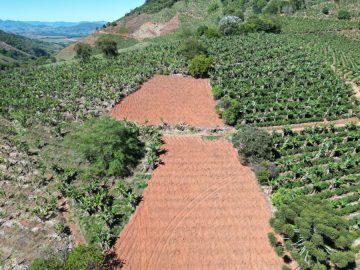 Stio - Venda - Pitangueira - Pedralva - MG