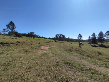 Sítio - Venda - Catioquinha - Cunha - SP