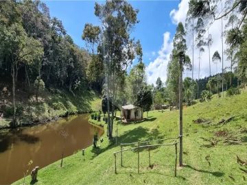 Stio - Venda - Rural - Salespolis - SP