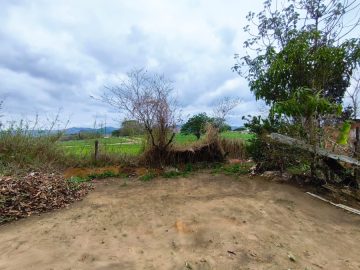 Terreno - Venda - Goiabal - Pindamonhangaba - SP