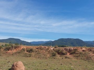 Chácara - Venda - Cruz Pequena - Pindamonhangaba - SP