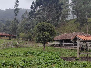 Sítio - Venda - Calunga - Silveiras - SP