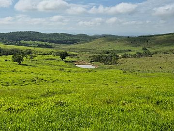 Ch�cara sem benfeitorias de excelente topografia em Lorena
