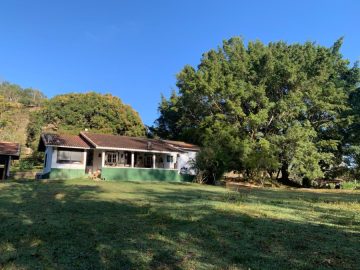 Sítio - Venda - Rio Abaixo/barra - São Luiz do Paraitinga - SP